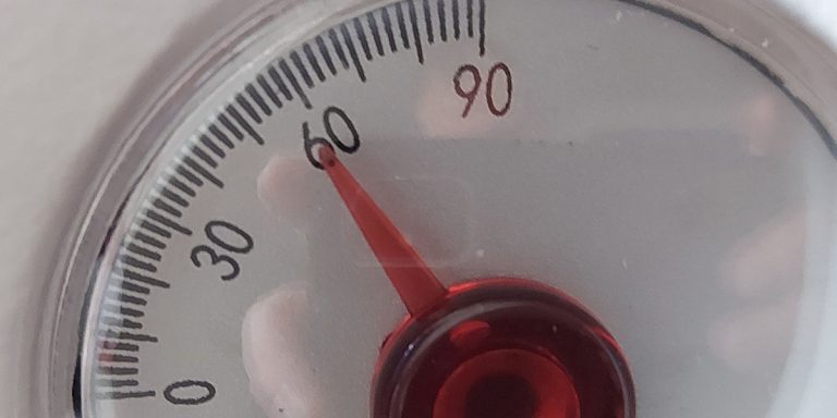 Die Winkelanzeige am Teleskop von 0 bis 90 Grad. Sie stellt man analog zum Breitengrad des Beobachtungsortes ein.