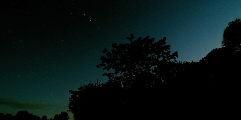 Man sieht Büsche und Bäume als schwarzen Bereich. Dahinter die aufkommende Dämmerung während oben am Himmel noch deutlich die Sterne leuchten.