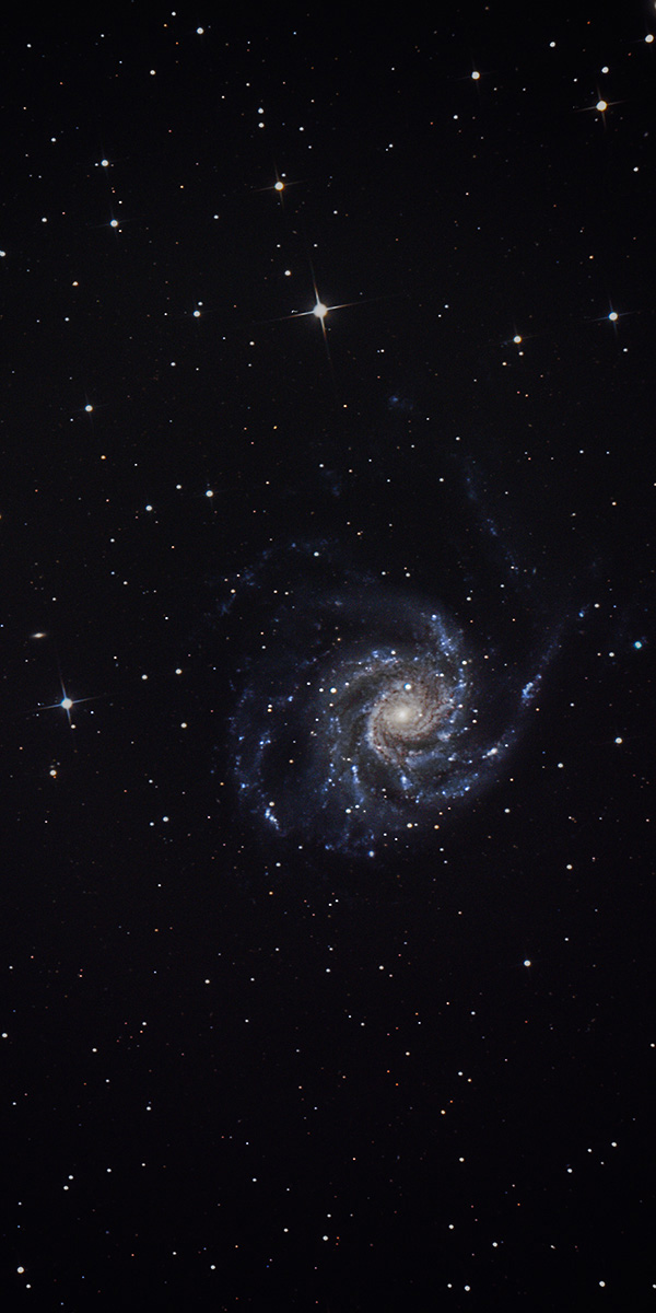 Die Pinwheel-Galaxie, eine Spiralgalaxie, auf die man von oben sieht. Man sieht deutlich die gelbhelle Mitte und die blau-violetten Spiralarme drumherum.